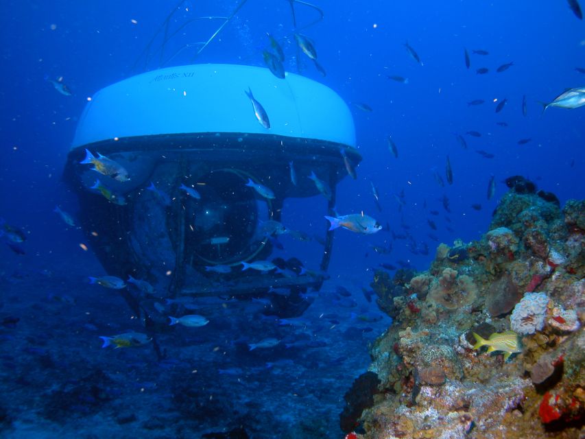 Подводная лодка Атлантис. Туристическая субмарина Атлантис. Подводные экспедиции компании. Подводные экспедиции видео.