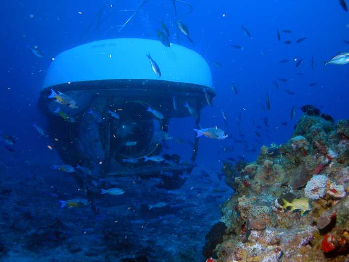 Atlantis Submarine Experience in Cozumel | GetYourGuide