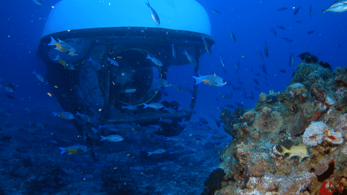 atlantis submarine expedition in cozumel