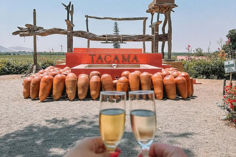 Luxury Private Tour from Lima: Ballestas, Vineyards, and Adrenaline-Fueled Buggy Ride Luxury Private Tour from Lima: Ballestas, Vineyards, and Adrenaline-Packed Buggy Ride