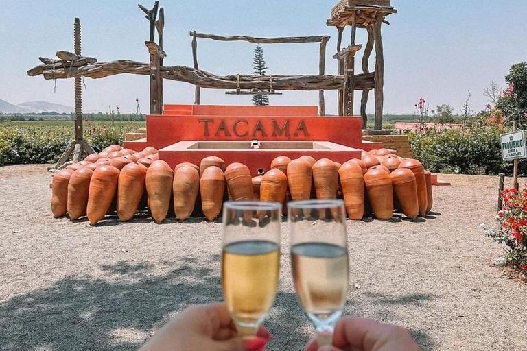 Luxury Private Tour from Lima: Ballestas, Vineyards, and Adrenaline-Fueled Buggy Ride Luxury Private Tour from Lima: Ballestas, Vineyards, and Adrenaline-Packed Buggy Ride