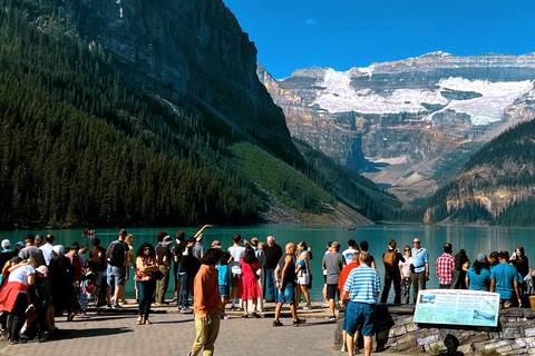 Private Day Tour - Lake Moraine,Louise,Peyto+Johnston Canyon private mini bus 14