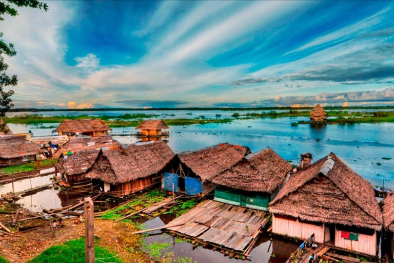 Aanbieding Apeneiland in de Amazone rivier Iquitos Peru