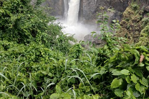 Victoria Falls: Zimbabwe and Zambia side Guided tour