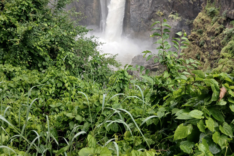 Victoria Falls: Zimbabwe and Zambia side Guided tour