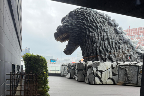 Tokyo: Customizable, Enjoyable and Memorable Private Tour