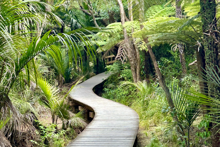 Auckland: tour privato della spiaggia di Piha, della foresta pluviale e del Monte EdenAuckland: tour privato alla spiaggia di Piha, alla foresta pluviale e al Monte Eden