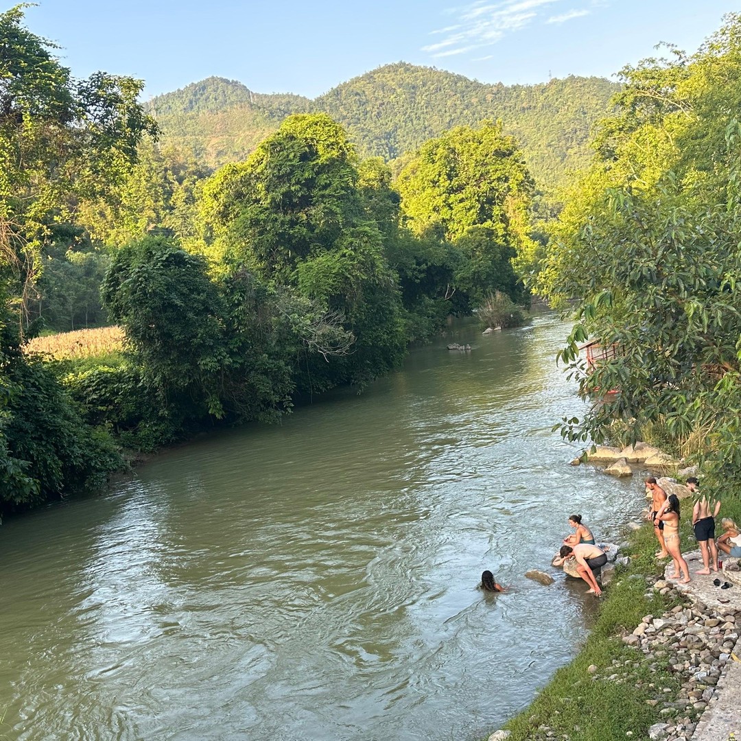 Galería de fotos para redes