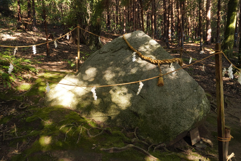 A Serene Private Day Trip by Car from Kyoto to Lake Biwa Kyoto Station Meeting Point