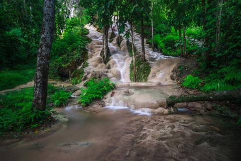 Doi Suthep Tempel, Orchideeën Hoeve &amp; Kleverige Waterval met Lunch