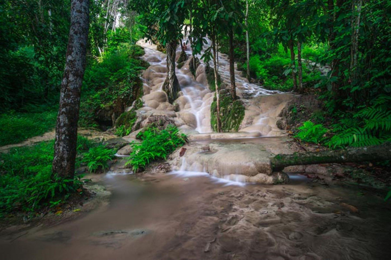 Doi Suthep Tempel, Orchideeën Hoeve &amp; Kleverige Waterval met Lunch