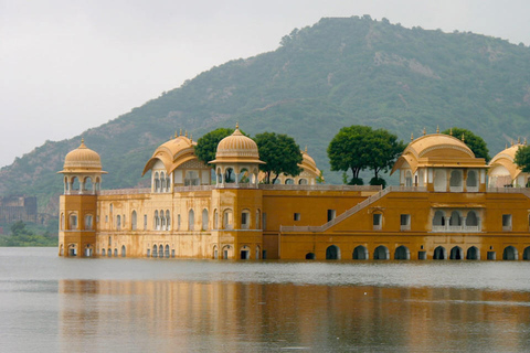 Z Delhi: jednodniowa wycieczka do Jaipur z transferemSamochód z kierowcą, przewodnik, bilety wstępu do zabytków i lunch