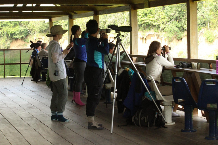 Da Cusco: 5 giorni di esplorazione e connessione nella Zona Riservata del ManuDa Cusco: 5 giorni di esplorazione e connessione nella Zona Riservata di Manu