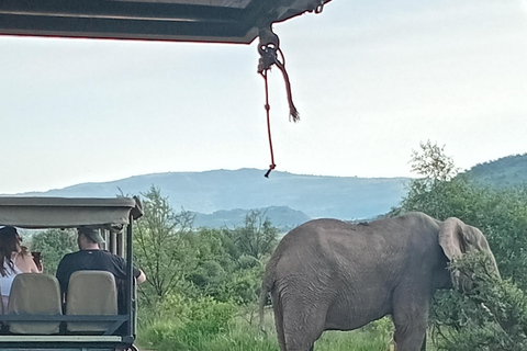Pilanesberg National Park