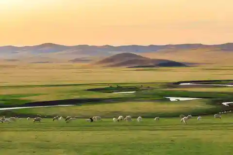 From Hohhot: 8-Day Inner Mongolia Private Tour to Ordos
