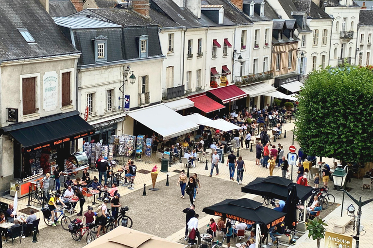 3 Loire Castles Live Guided Small group by Mercedes minivan