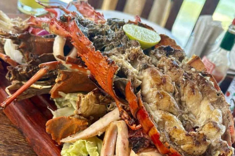 ZANZIBAR: wycieczka z przewodnikiem do lasu Jozani i restauracja The RockWYCIECZKA PRYWATNA – TRANSPORT I OPŁATA ZA WEJŚCIE NIE SĄ WLICZONE W CENĘ