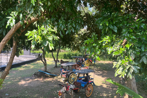 Yogyakarta: Borobudur and Candirejo Village Tour by Dokar