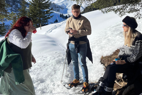 Wandeldag in de Zwitserse AlpenSneeuwschoen- en fondueavontuur in de Zwitserse Alpen