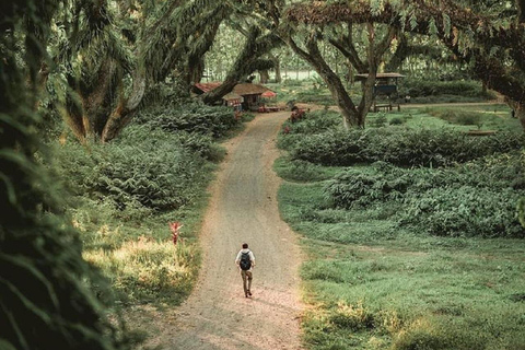 Explore Banyuwangi 3 day 2 night