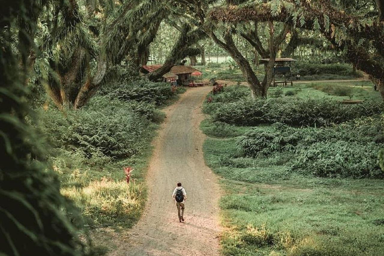 Explore Banyuwangi 3 day 2 night