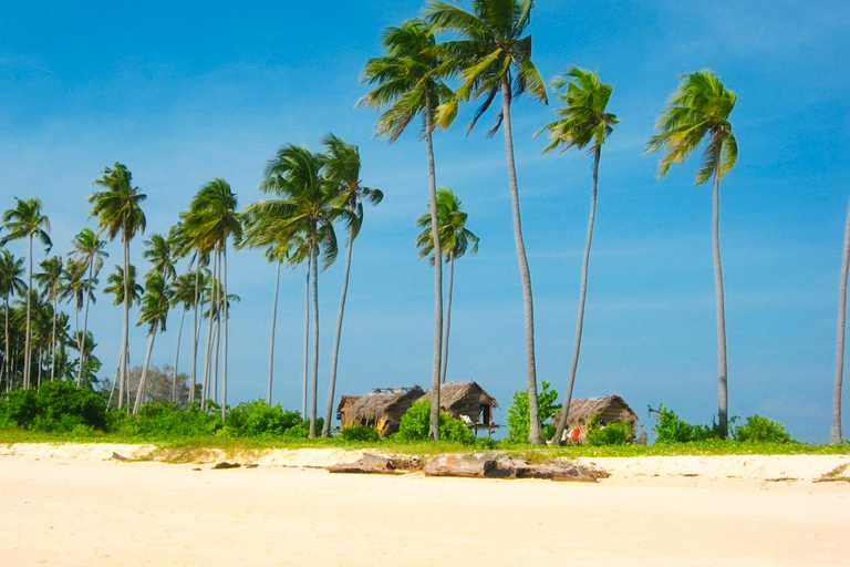 سيمبورنا: نزهة على الأقدام في جزر بوهي 3 وجولة غطس/غوص مع وجبة غداءسيمبورنا: جولة بوهي وماتابوان وسي