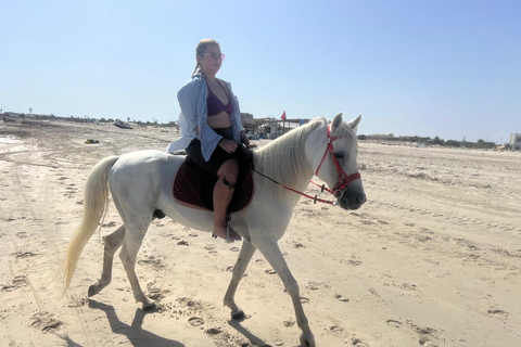 Djerba: Beginner Horse Riding Lesson for Adults and Children.