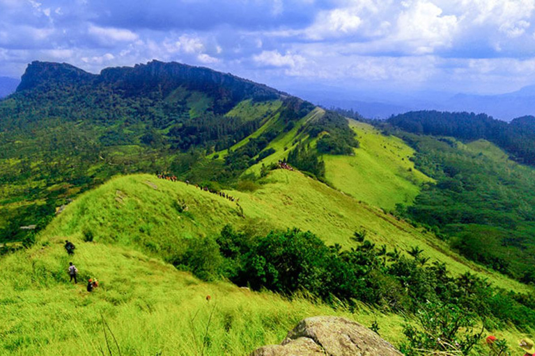 The Pekoe Trail ( Hanthana To Galaha )