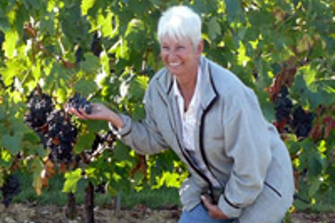 Chianti Wine and Hill Towns Full-Day Tour with Deluxe Van