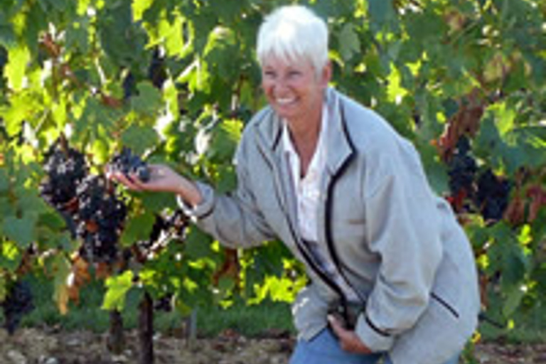 Chianti Wine and Hill Towns Full-Day Tour with Deluxe Van