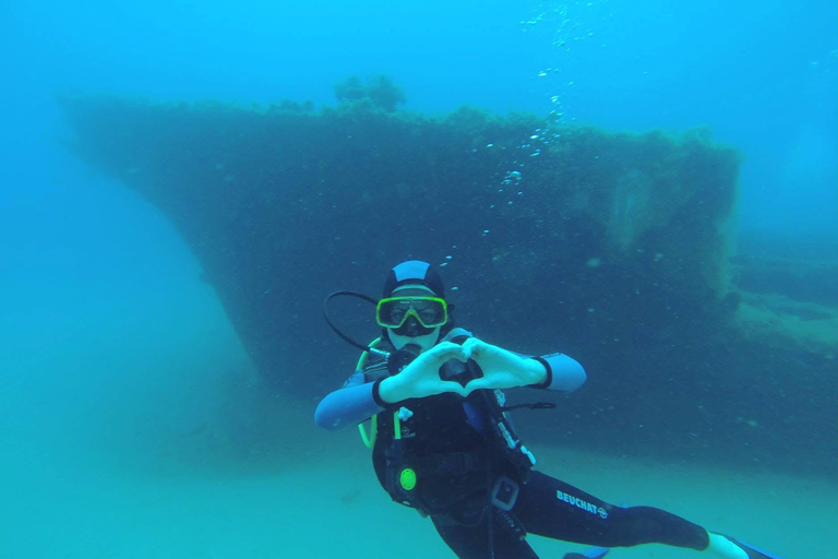 Hammamet: Guided Diving Experience with Hotel Transfer