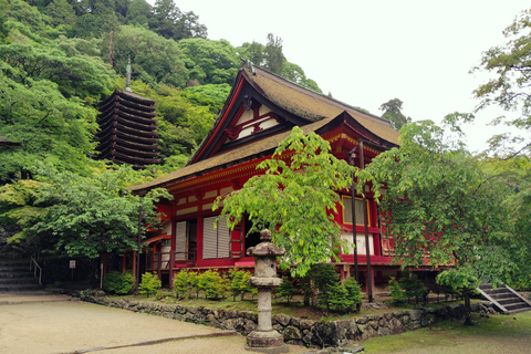 Nara: Explore Tanzan Shrine’s Pagoda and Sacred History