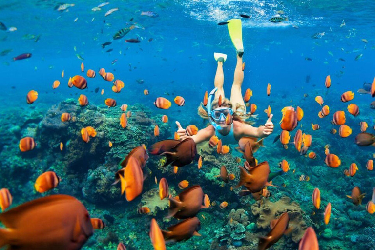 From Bali/Banyuwangi: Mount Ijen Hike & Snorkeling Tour From Bali: Private Tour All Inclusive