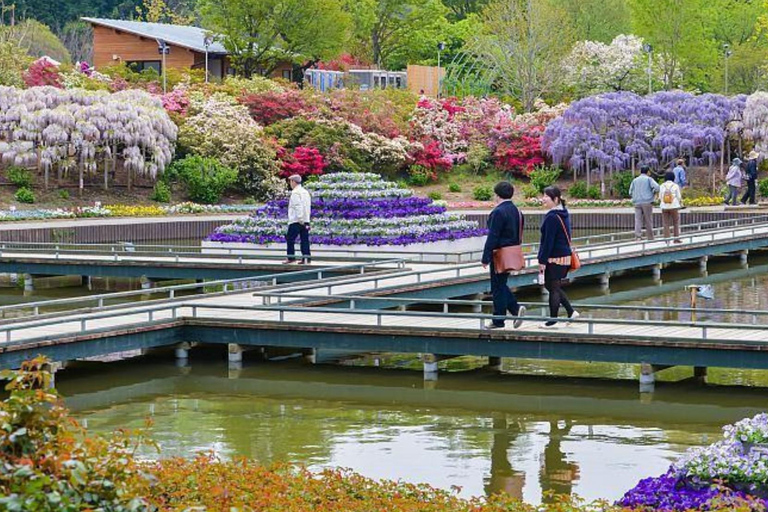 Tokyo: City Full-Day Private Scenic Tour With English Guide