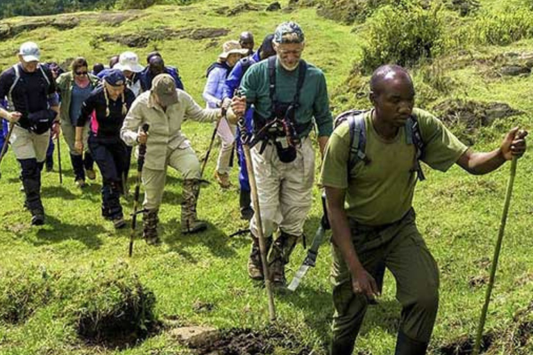 Kigali: Bisoke Volcano Hike & Gorilla Guardians Tour