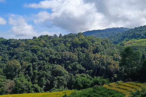 Chiang Mai : Parc national de Doi Inthanon et sanctuaire des éléphants