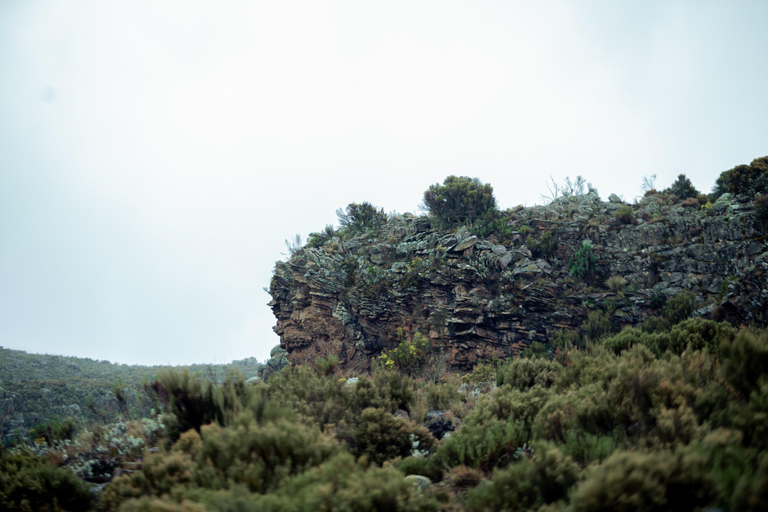 Moshi: Mount Kilimanjaro Day Trip – Marangu Route Day Hike