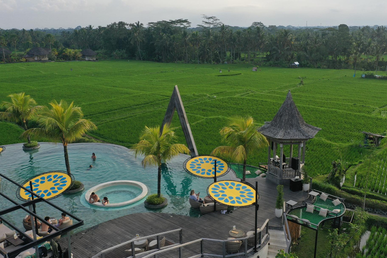 E-Bike: Ubud Reisterrassen & traditionelle Dörfer RadfahrenE-Bike & Transfer in Ubud