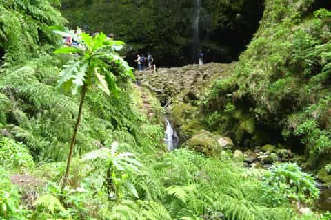 Levada Walk and Caldeirao Verde Waterfalls: Madeira