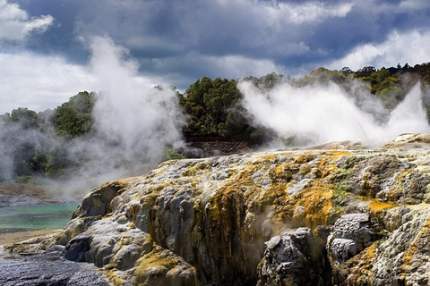 Da Auckland: Rotorua Māori Village &amp; Polynesian Spa Tour