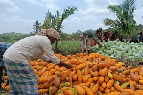 Kochi: Full-Day tour with Temple, Farming & Village Life