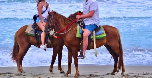 Punta Cana: Beach Horseback Ride & Professional Photos