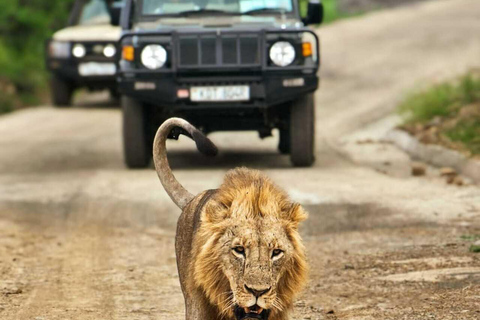 Nairobi National Park Safari Game Drive in a 4x4 Nairobi: National Park 5 Hours Safari in a Shared 4x4 Jeep