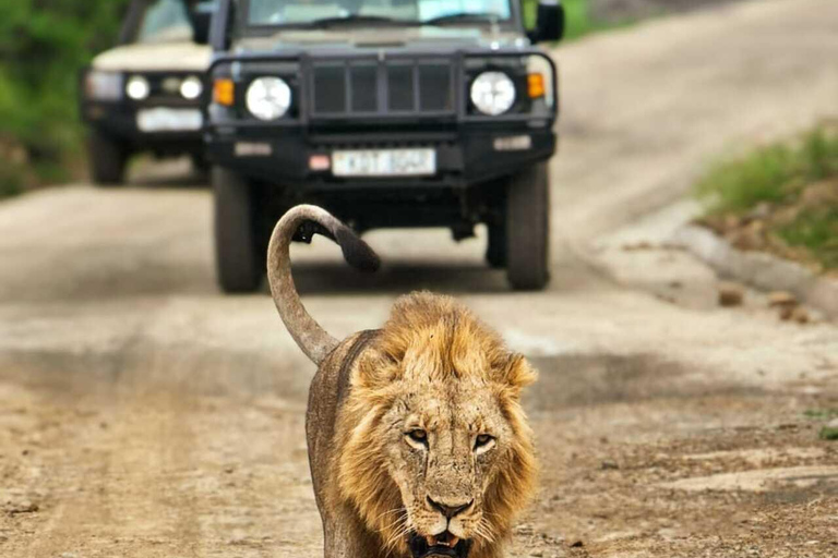 Nairobi National Park Safari Game Drive in a 4x4 Nairobi: National Park 5 Hours Safari in a Shared 4x4 Jeep