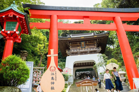 Wycieczka na górę Fuji Hakone/Kamakura: BEZPŁATNA kolejka linowa i rejs po jeziorze AshiWycieczka ze stacji Shinjuku o godz. 8:30 – bez kolejki linowej i rejsu statkiem