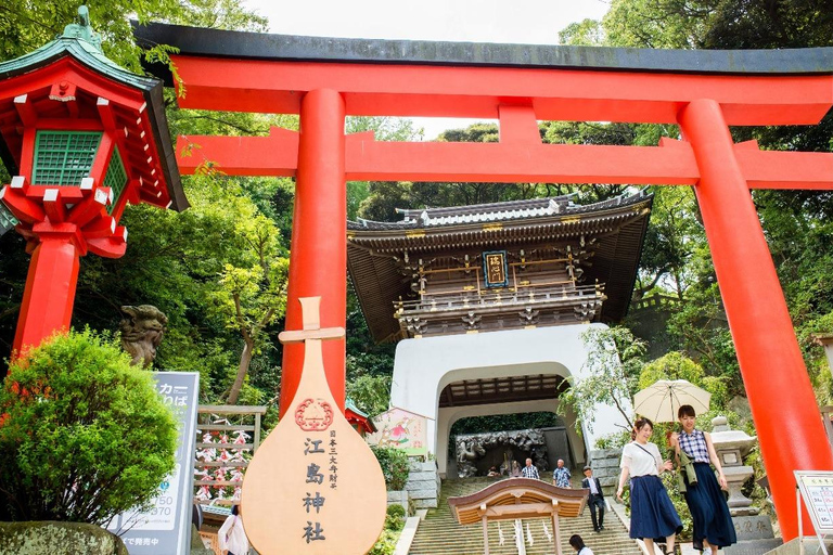 Wycieczka na górę Fuji Hakone/Kamakura: BEZPŁATNA kolejka linowa i rejs po jeziorze AshiWycieczka ze stacji Shinjuku o godz. 8:30 – bez kolejki linowej i rejsu statkiem