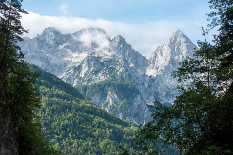 Bled: Hvadnik Gorge Via Ferrata Tour with Wire Bridges