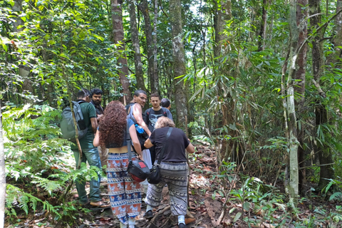 辛哈拉加雨林之旅