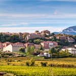Escursione a Vitoria, La Rioja e degustazione di vini in una cantina a Laguardia