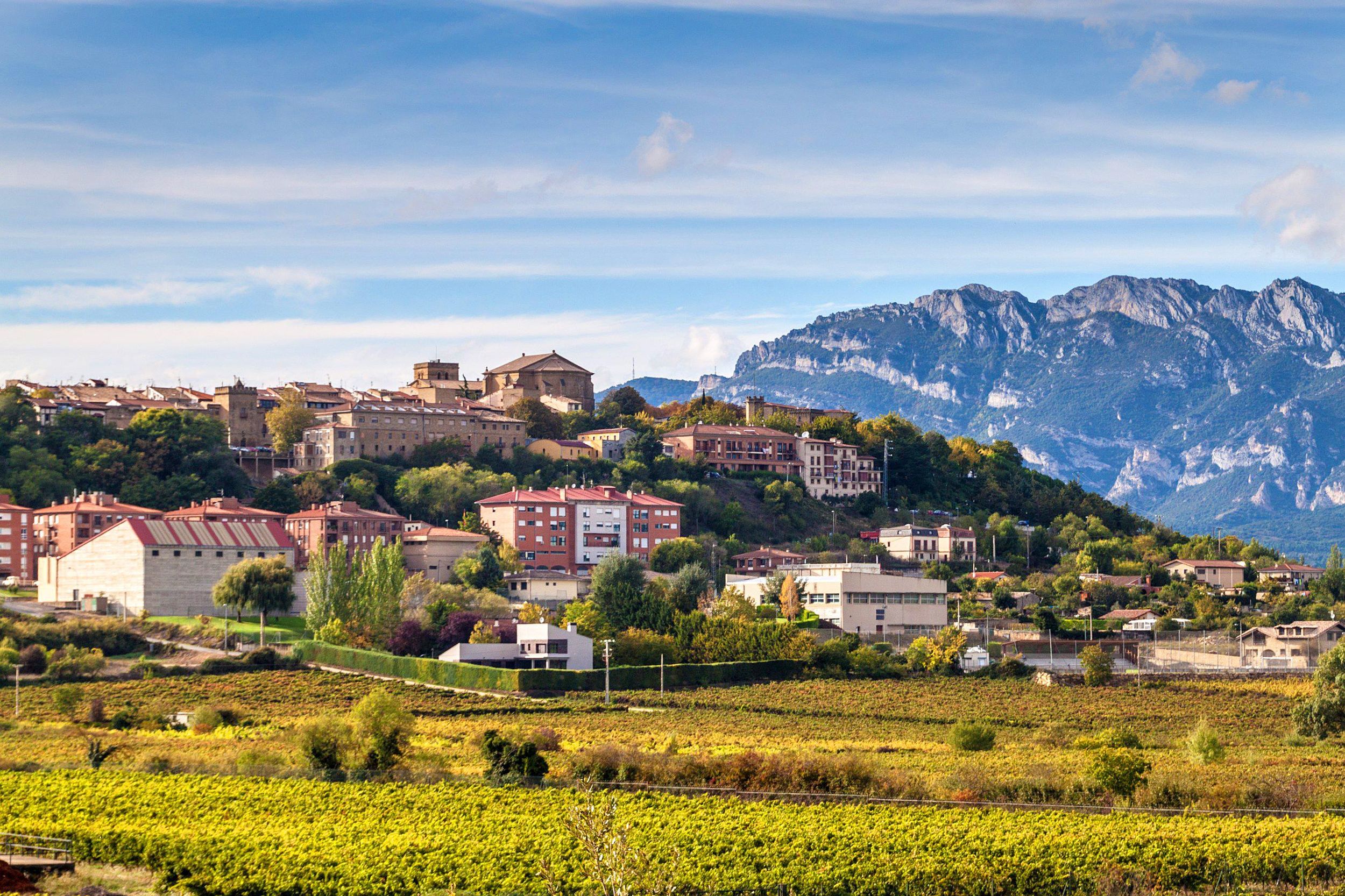 Ausflug nach Vitoria, La Rioja und Weinprobe in der Bodega von Laguardia